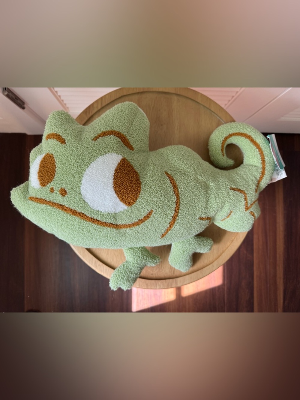 Rapunzel Sidekick Pascal Kids' Pillow (Pillowfort Disney Collection)